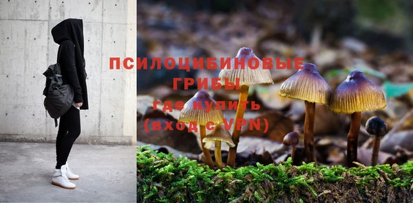 амф Надым