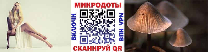 Галлюциногенные грибы Psilocybe  Дудинка 